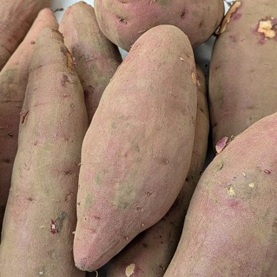 吉田自然栽培さつまいもの画像