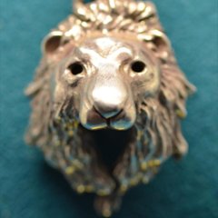 ライオンの顔トップ画像