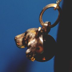 トラの顔トップ画像