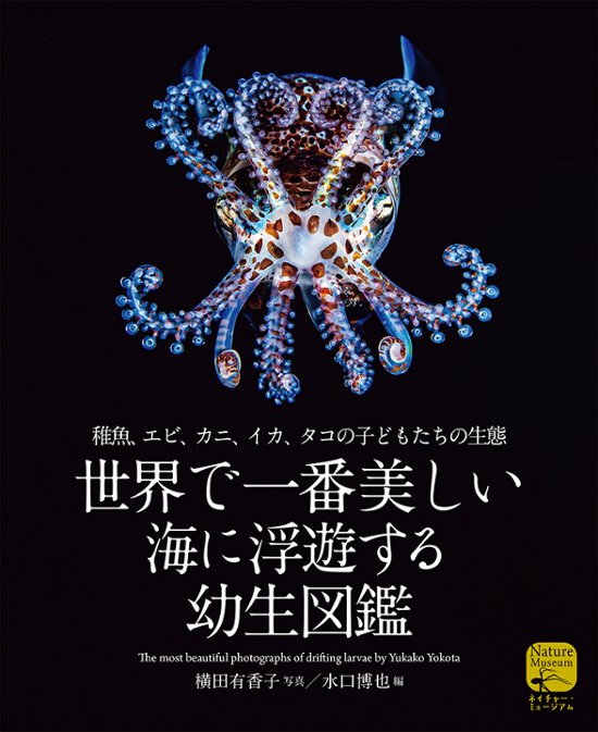 世界で一番美しい 海に浮遊する幼生図鑑画像