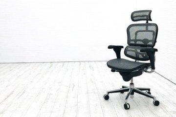 エルゴヒューマン ベーシック ヘッドレスト付き ergohuman 中古 中古チェア 高機能チェア メッシュ グレー画像