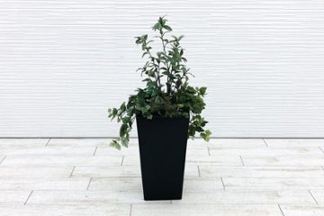 【筑西倉庫引き取り限定】 人工観葉植物 造花 大型 中古 インテリア 観葉植物 フラワーアレジメント フェイクグリーン 【2825】の画像