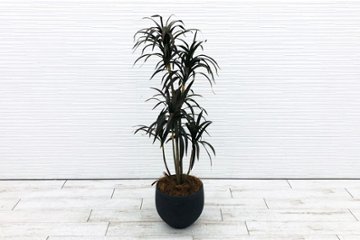 【筑西倉庫引き取り限定】 人工観葉植物 造花 大型 中古 インテリア 観葉植物 フラワーアレジメント フェイクグリーン 【2828】画像