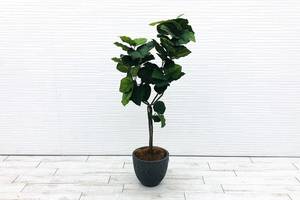 筑西倉庫引き取り限定】 人工観葉植物 造花 大型 中古 筑西倉庫引き取り限定】 人工観葉植物 造花 大型 中古