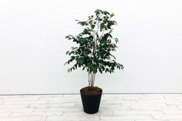 【筑西倉庫引き取り限定】 人工観葉植物 造花 大型 中古 インテリア 観葉植物 フラワーアレジメント フェイクグリーン 【2831】画像