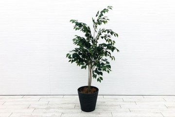 【筑西倉庫引き取り限定】 人工観葉植物 造花 大型 中古 インテリア 観葉植物 フラワーアレジメント フェイクグリーン 【2832】画像