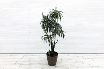 【筑西倉庫引き取り限定】 人工観葉植物 造花 大型 中古 インテリア 観葉植物 フラワーアレジメント フェイクグリーン 【2833】の画像