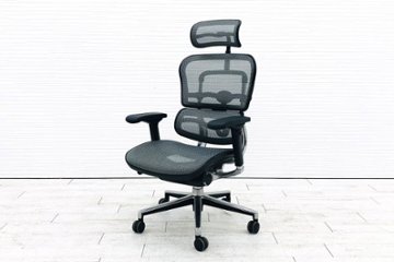 エルゴヒューマン ベーシック ヘッドレスト付き ergohuman HIGH Type 中古 中古チェア 高機能チェア メッシュ画像