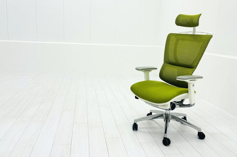 Ergohuman Fit エルゴヒューマン フィット ヘッドレスト付き 中古 中古チェア 高機能チェア 3Dメッシュ グリーン画像