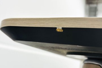 【ポリッシュ脚ピカピカ磨き有！】 PRECEDE オカムラ プリシード 中古 大型会議テーブル ミーティングテーブル 中古オフィス家具 3200/1200/720画像