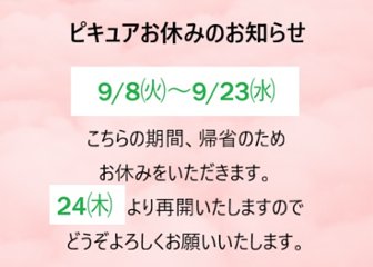 ピキュアお休みのお知らせの画像
