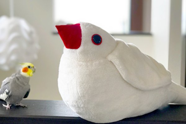 抱き文鳥ぬいぐるみ [White]の画像
