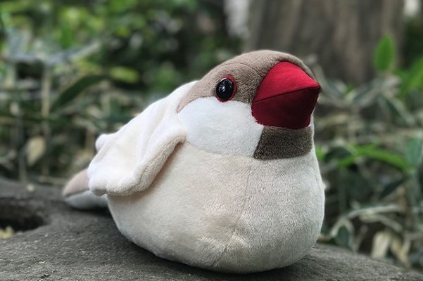 抱き文鳥ぬいぐるみ [Cinnamon]の画像