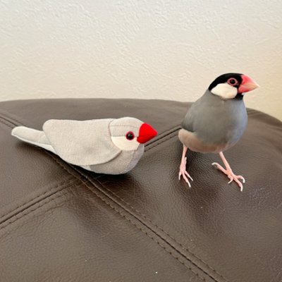 ほぼ文鳥！手のひら文鳥[Silver] の画像