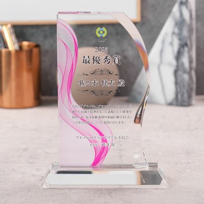 【送料無料】 盾 クリスタル ガラス 表彰 記念 楯 DP-11 名入れ 感謝状 記念品 周年記念 創立記念 退職記念 お祝い プレゼント 還暦 喜寿 金婚式 銀婚式 イベント ギフトの画像