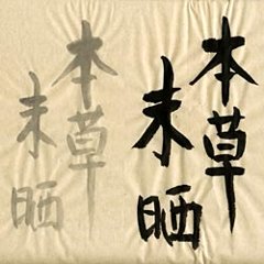 書道用紙 半切 本草 未晒の画像