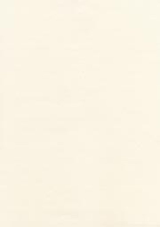 OA和紙 すのめ和紙 厚口画像