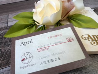 4月の誕生月花画像