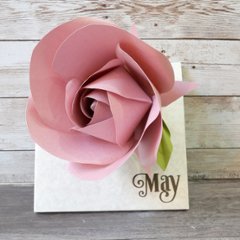 5月の誕生月花画像