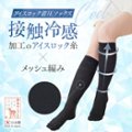 太陽ニット画像