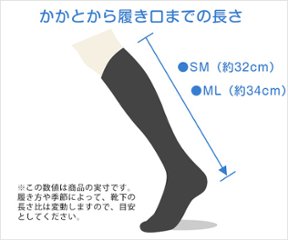 美脚 着圧ソックス (薄手タイプ) 画像