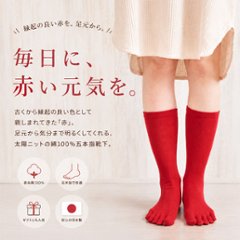 赤の綿5本指靴下の画像