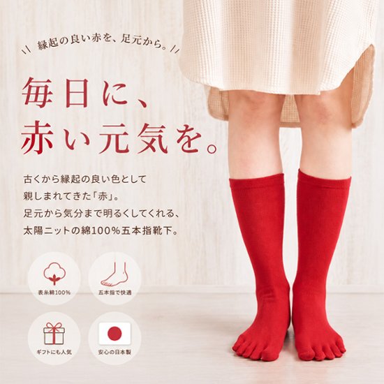 赤の綿5本指靴下画像
