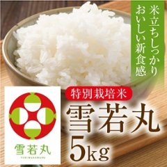 特栽　雪若丸　5㎏の画像